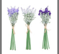 Ramo lavanda